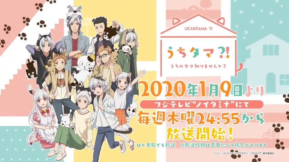 Uchi Tama?! Uchi no Tama Shirimasen ka? Uchi Tama?! Uchi no Tama Shirimasen ka?